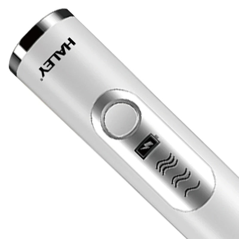 Spumator de Lapte Electric HALEY HY-1130, 20W, 3 Viteze, Încărcare USB, 2 Capete Inox, Multifuncțional 2 în 1